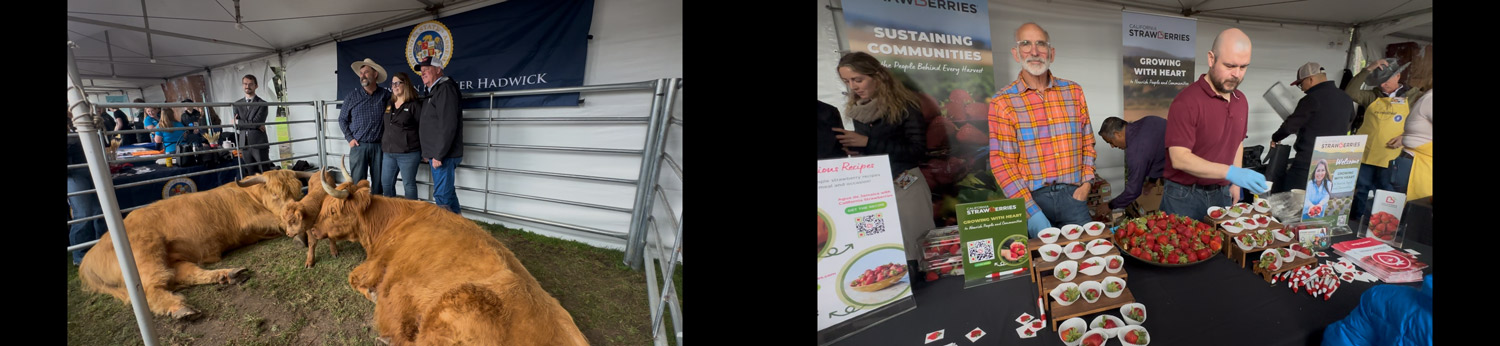 Ag Fair